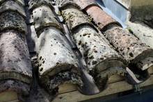 Notre zone d'activité pour ce service Création et pose de pergola ou de carport en bois